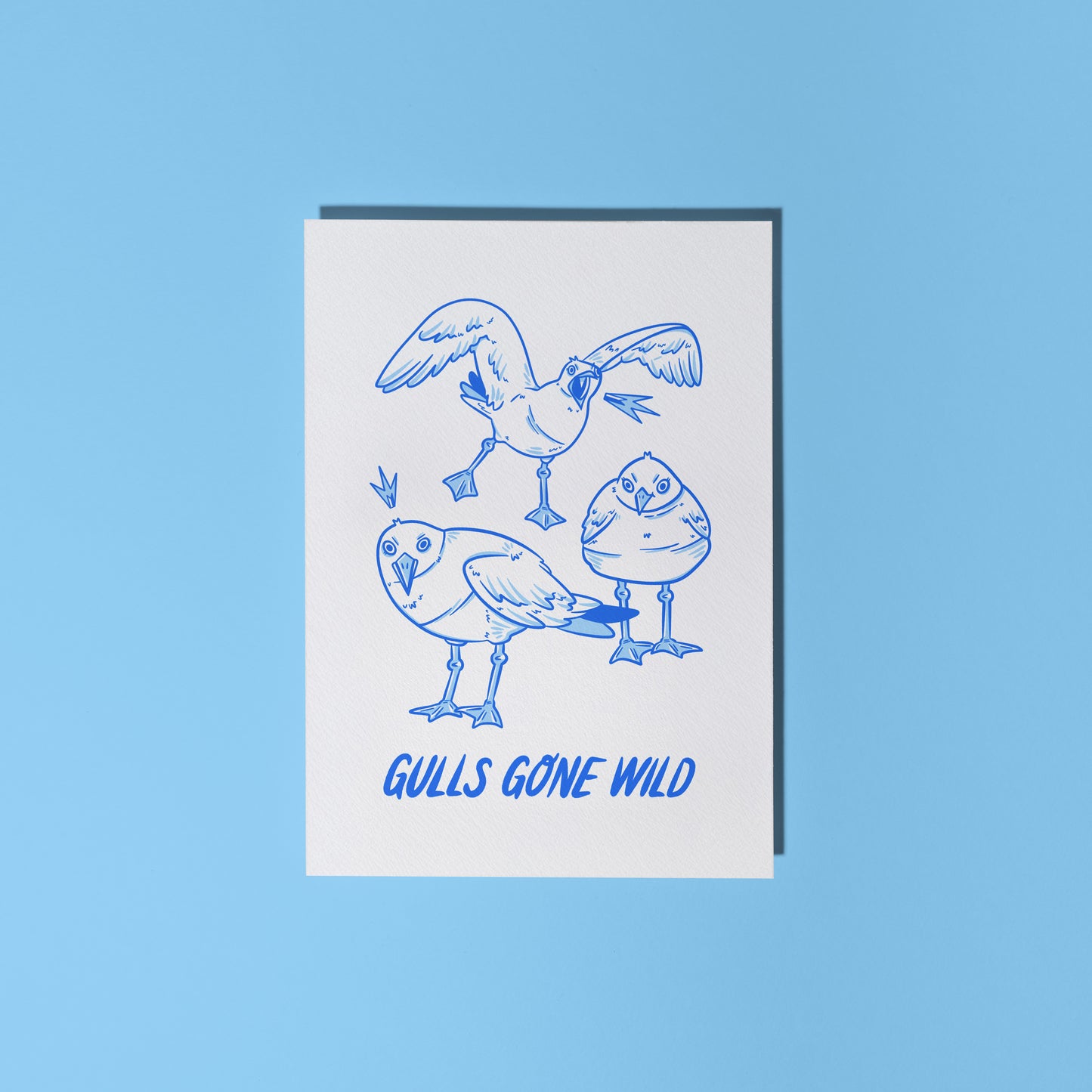 "Gulls Gone Wild" Greetings Card